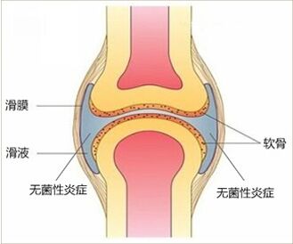 南京强脊诊疗中心