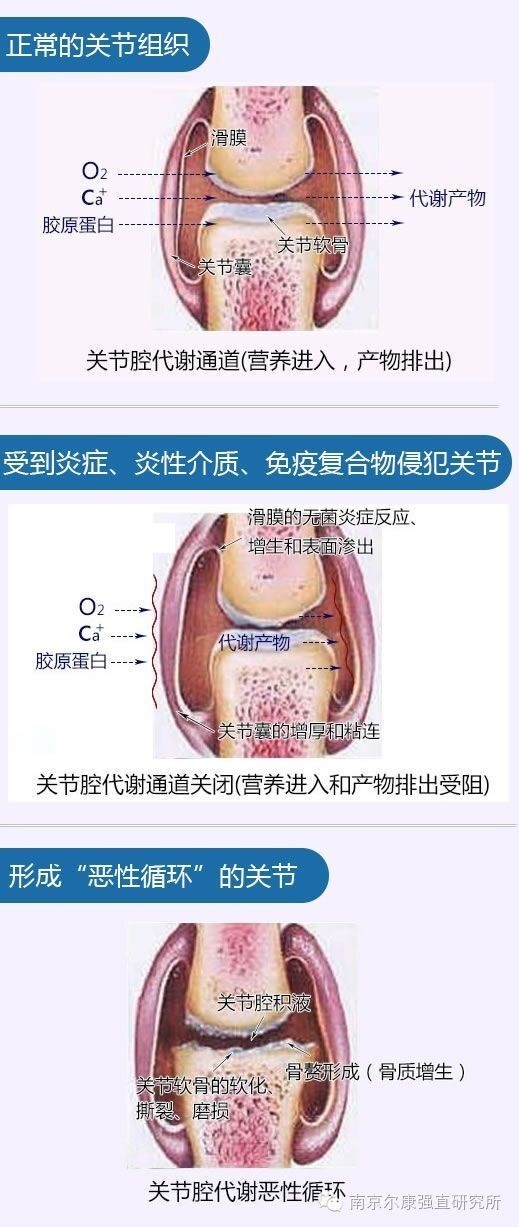 南京强脊诊疗中心